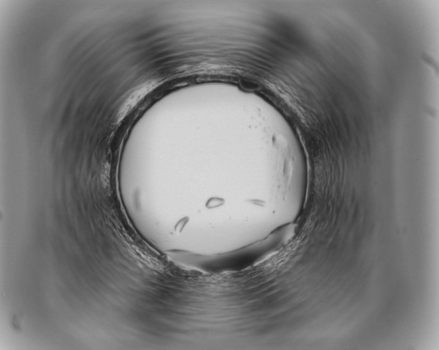 X0000096141066200802081343