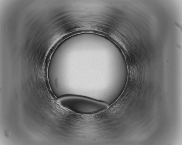 X0000096141068200802081343