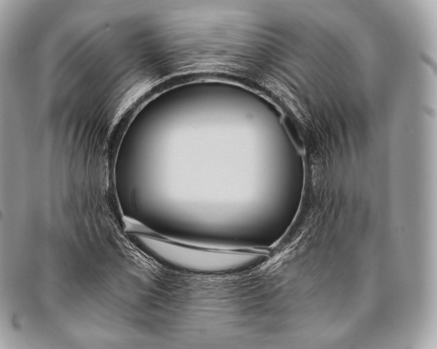 X0000096141069200802081343
