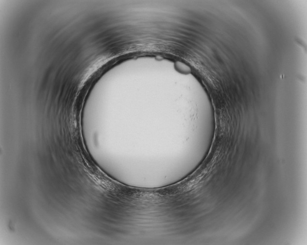 X0000096141070200802081343