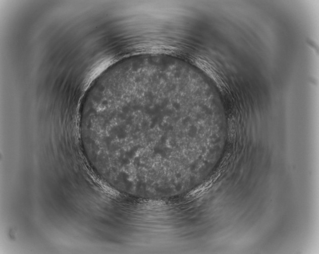 X0000096141071200802081343