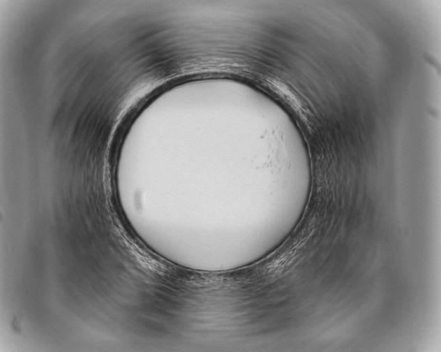 X0000096141072200802081343