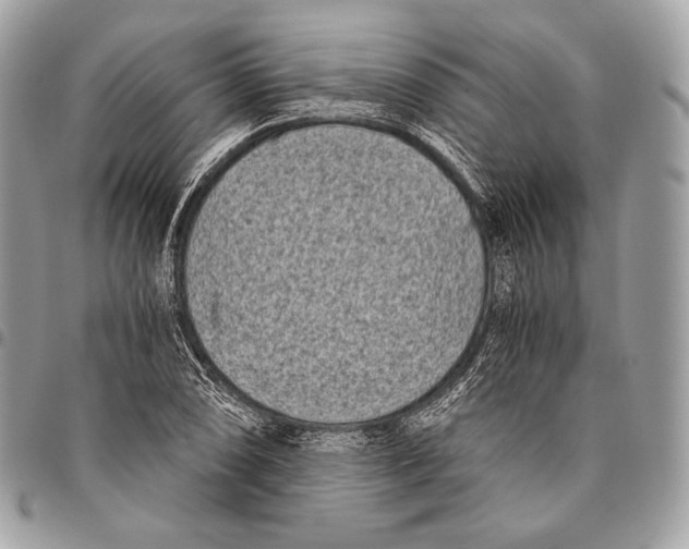X0000096141074200802081343