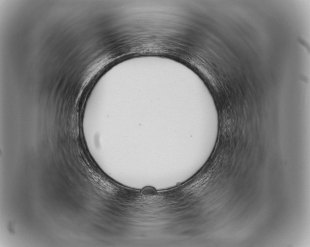 X0000096141075200802081343