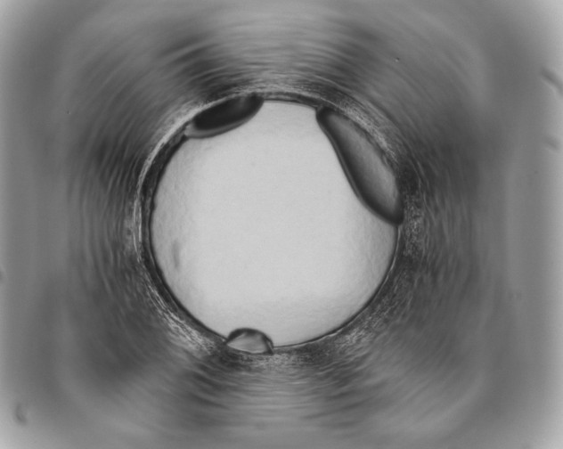 X0000096141076200802081343