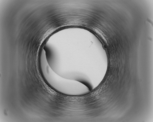 X0000096141077200802081343