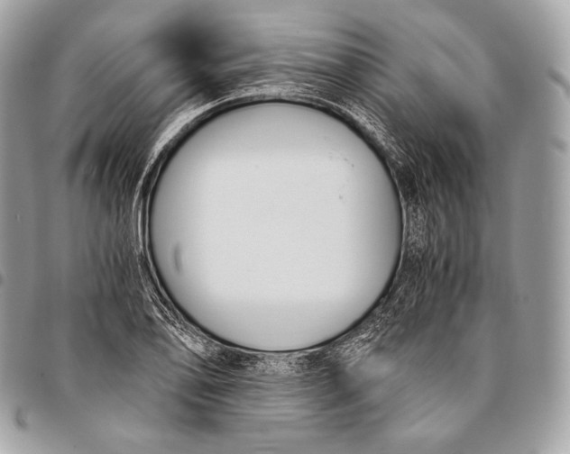 X0000096141078200802081343