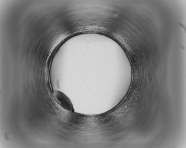 X0000096141079200802081343