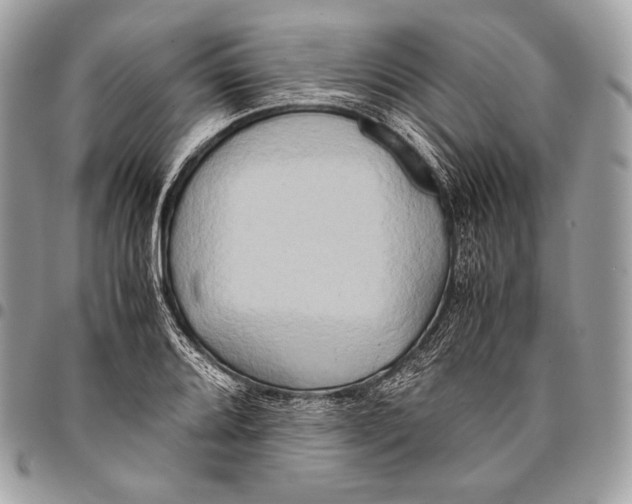 X0000096141080200802081343