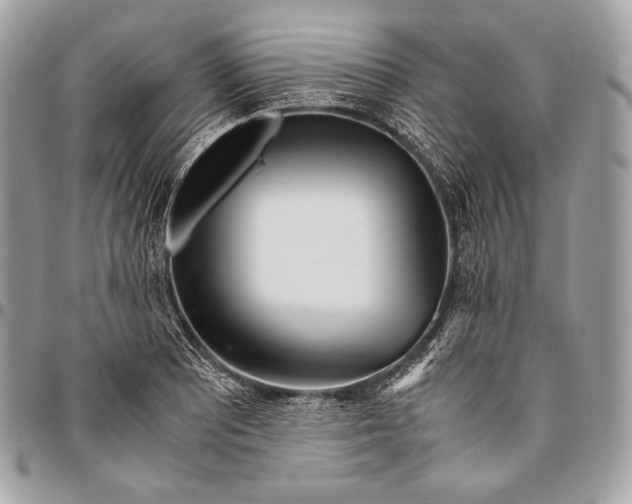 X0000096141081200802081343