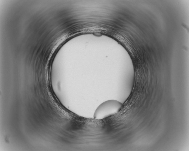 X0000096141083200802081343