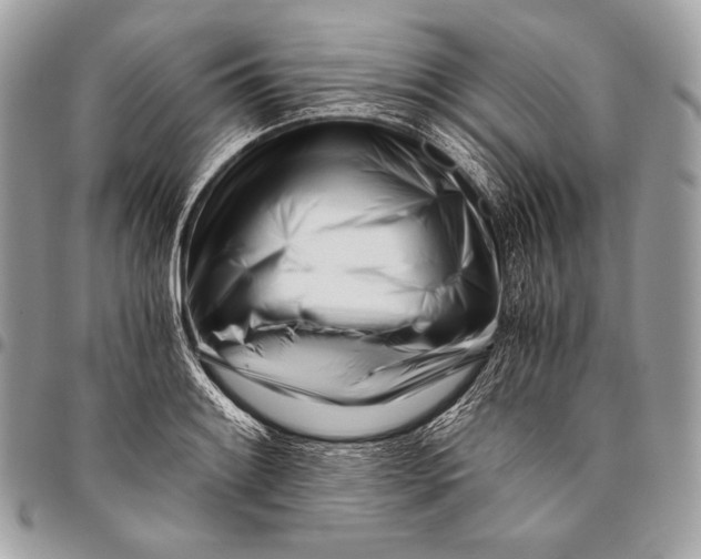 X0000096141084200802081343