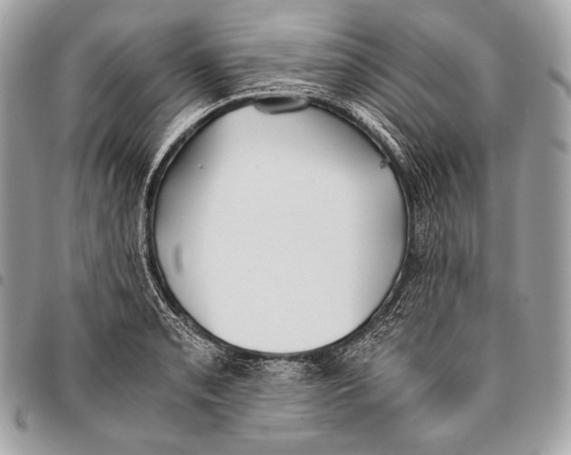 X0000096141085200802081343
