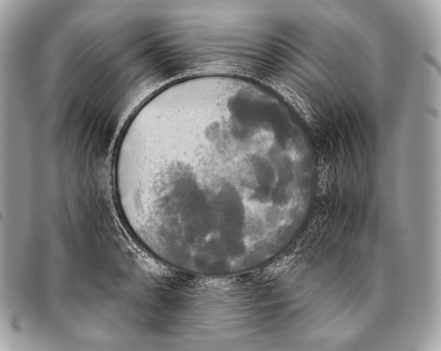 X0000096141086200802081343