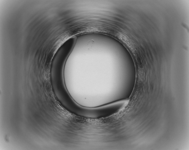 X0000096141089200802081343