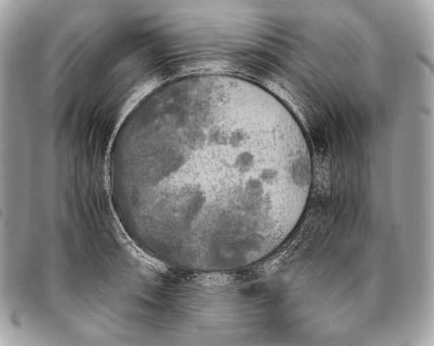 X0000096141090200802081343