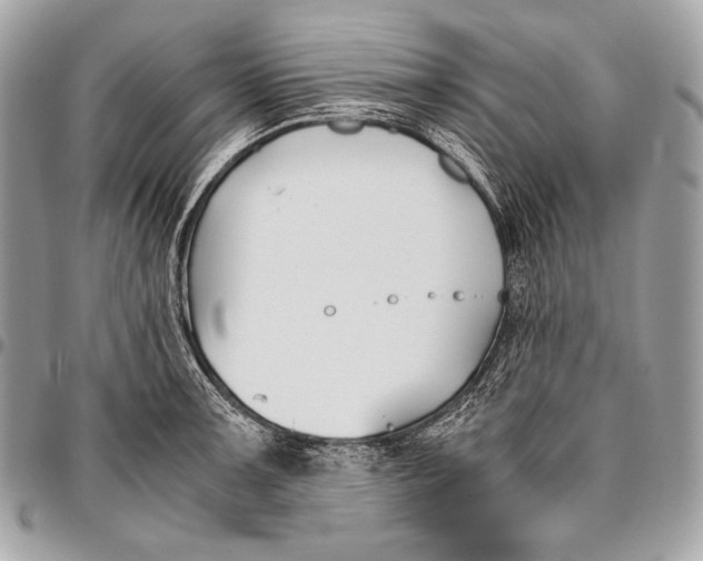 X0000096141091200802081343