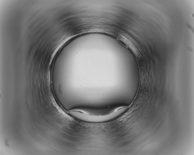 X0000096141092200802081343