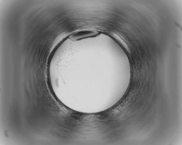 X0000096141093200802081343