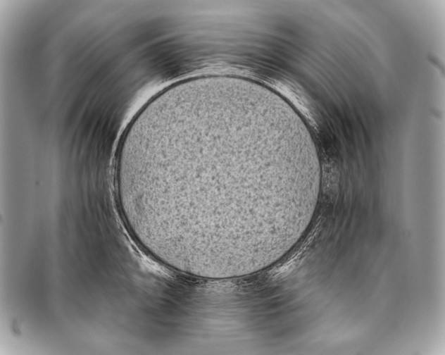 X0000096141094200802081343
