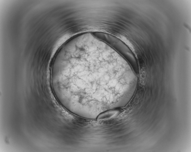 X0000096141096200802081343