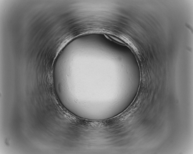 X0000096141097200802081343