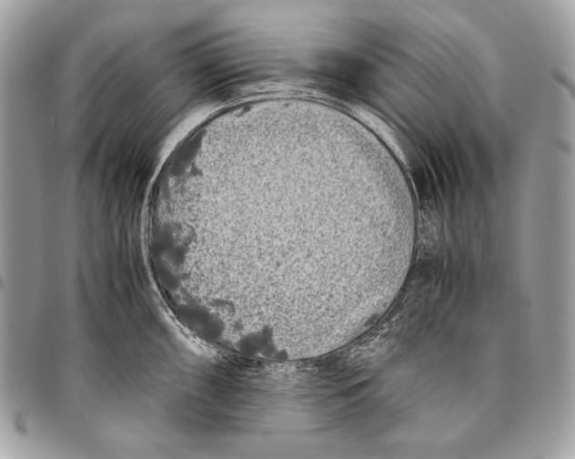 X0000096141098200802081343