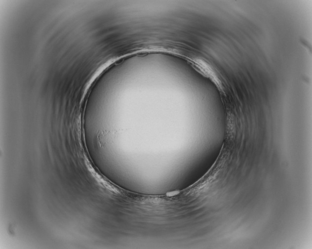 X0000096141100200802081342