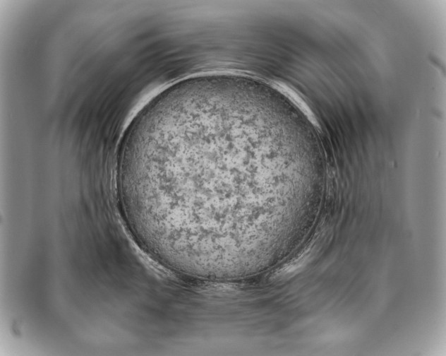 X0000096141101200802081342