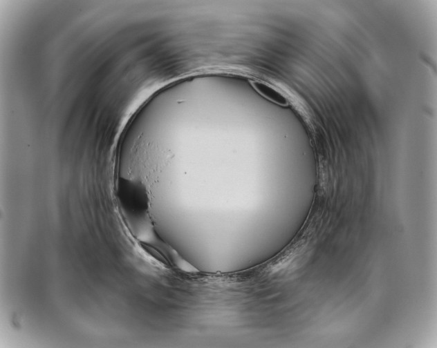 X0000096141102200802081342