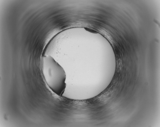 X0000096141103200802081342