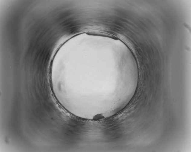 X0000096141104200802081342