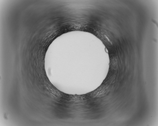 X0000096141105200802081342
