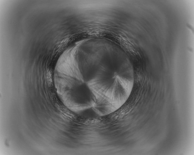 X0000096141106200802081342