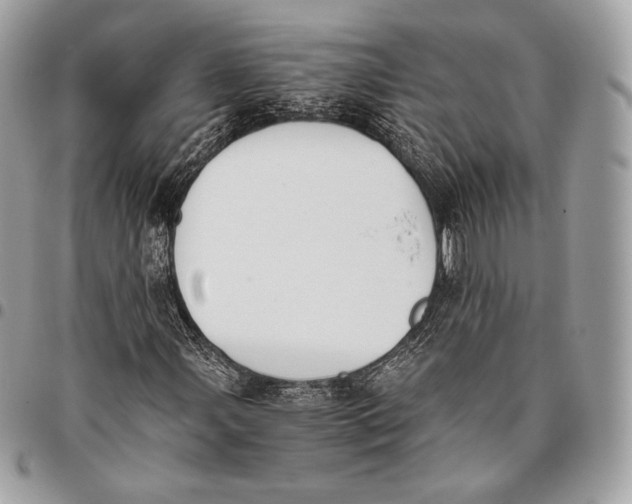 X0000096141107200802081342