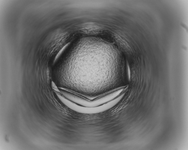 X0000096141108200802081342