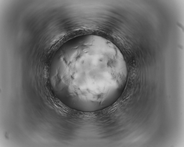 X0000096141110200802081342