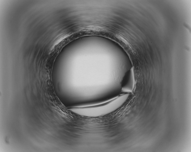 X0000096141112200802081342