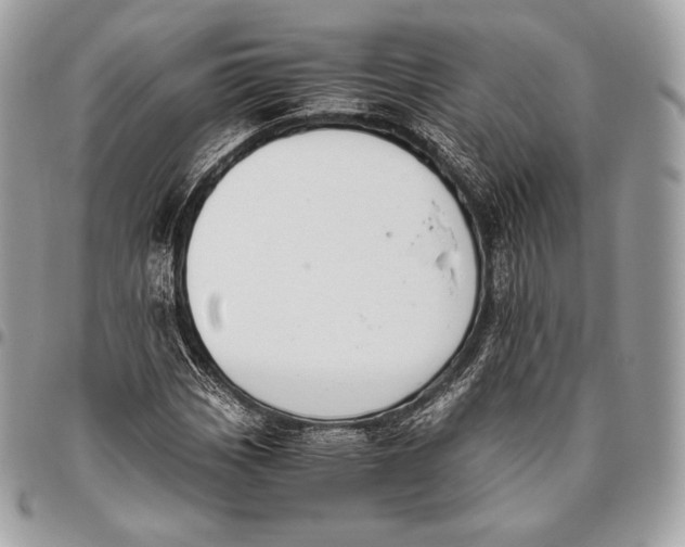 X0000096141113200802081342