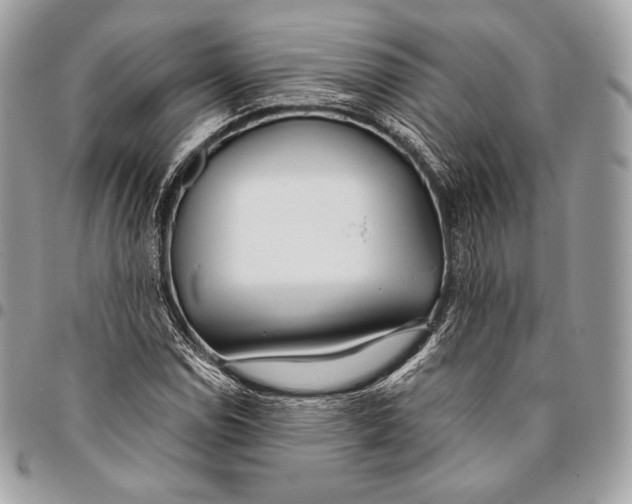 X0000096141114200802081342
