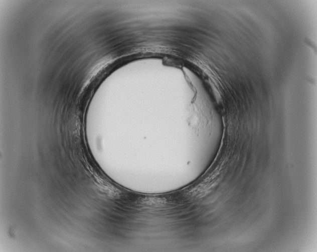 X0000096141115200802081342