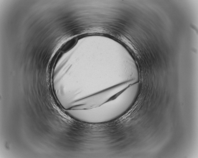 X0000096141116200802081342