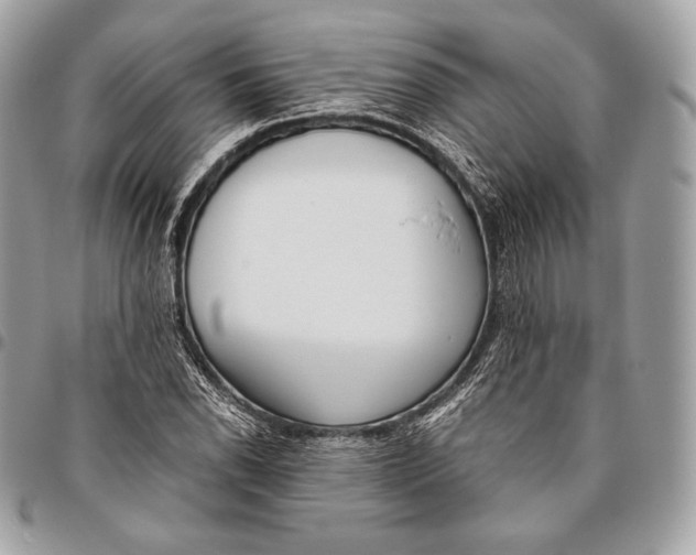 X0000096141118200802081342