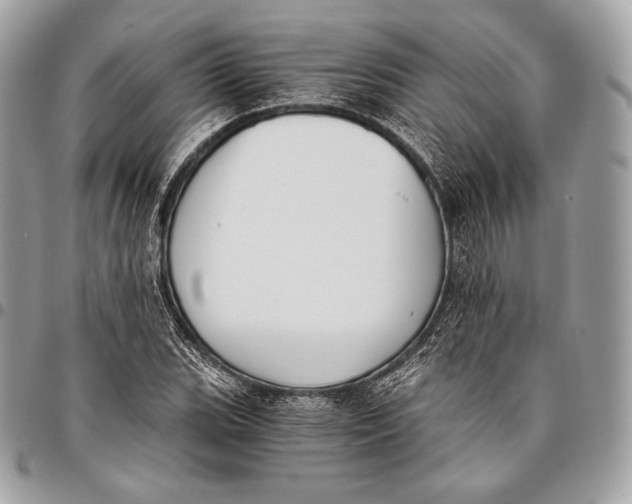X0000096141119200802081342