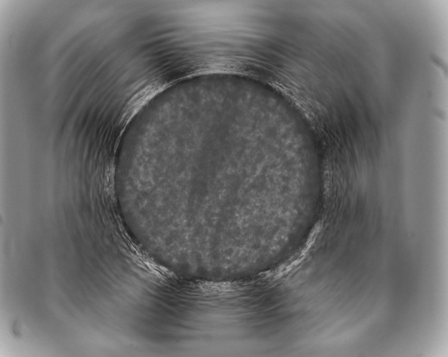 X0000096141121200802081342