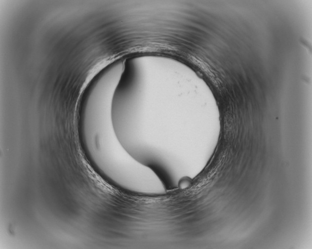 X0000096141122200802081342