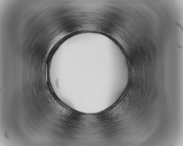 X0000096141123200802081342