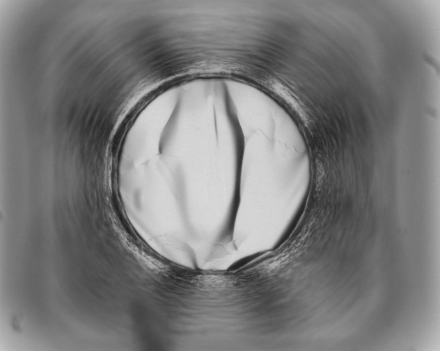 X0000096141124200802081342