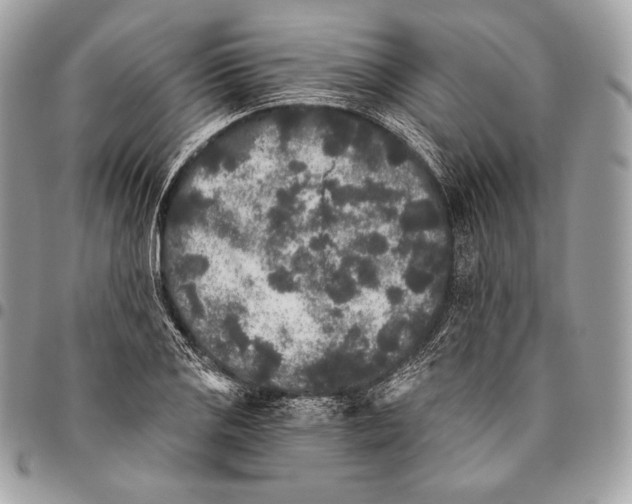 X0000096141125200802081342