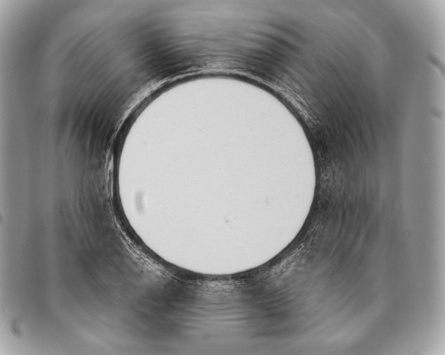 X0000096141126200802081342